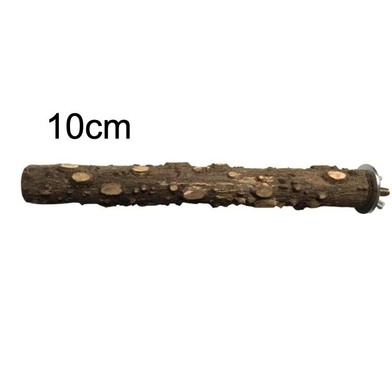 10cm