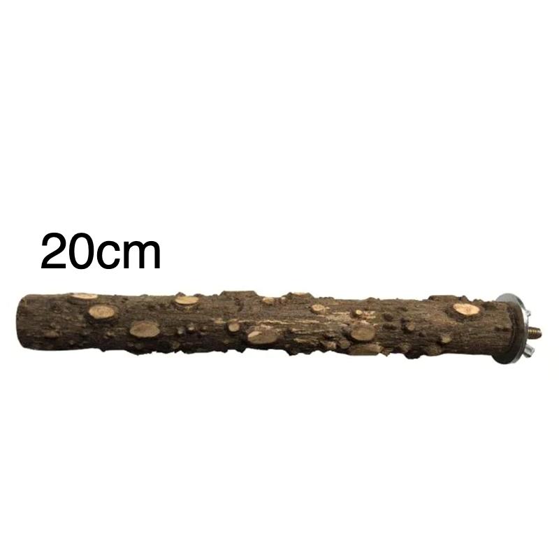 20cm